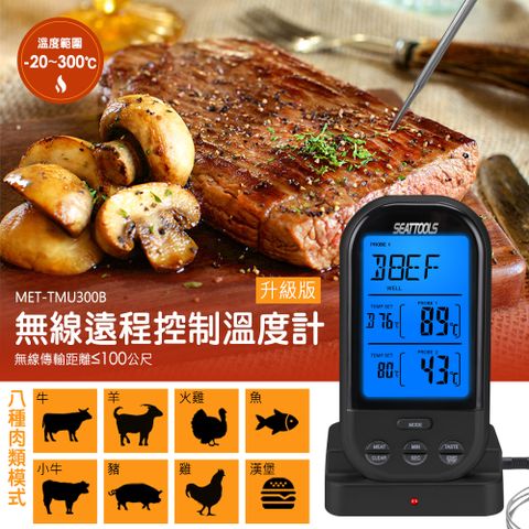 探針式 測溫器 肉類中心溫度 食物溫度計 熟度掌控 牛肉溫度計 羊排熟度 180-TMU300B