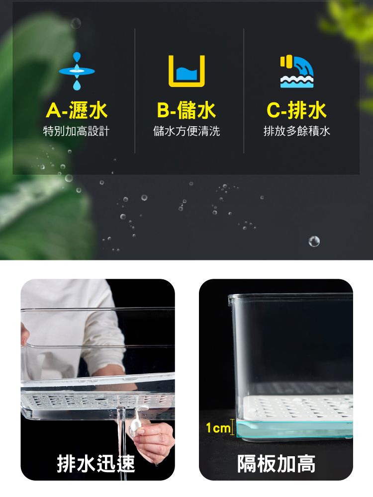 A-瀝水B-儲水特別加高設計儲水方便清洗排水迅速1cmC-排水排放多餘積水隔板加高