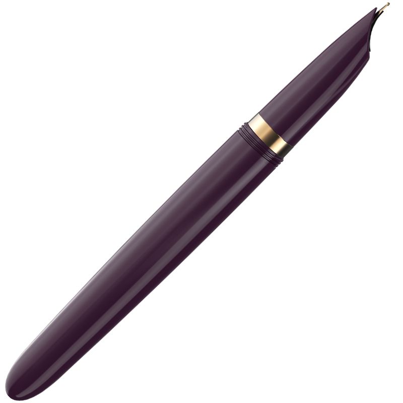PARKER 派克 《  51復刻 18K 鋼筆 紫色桿金蓋》