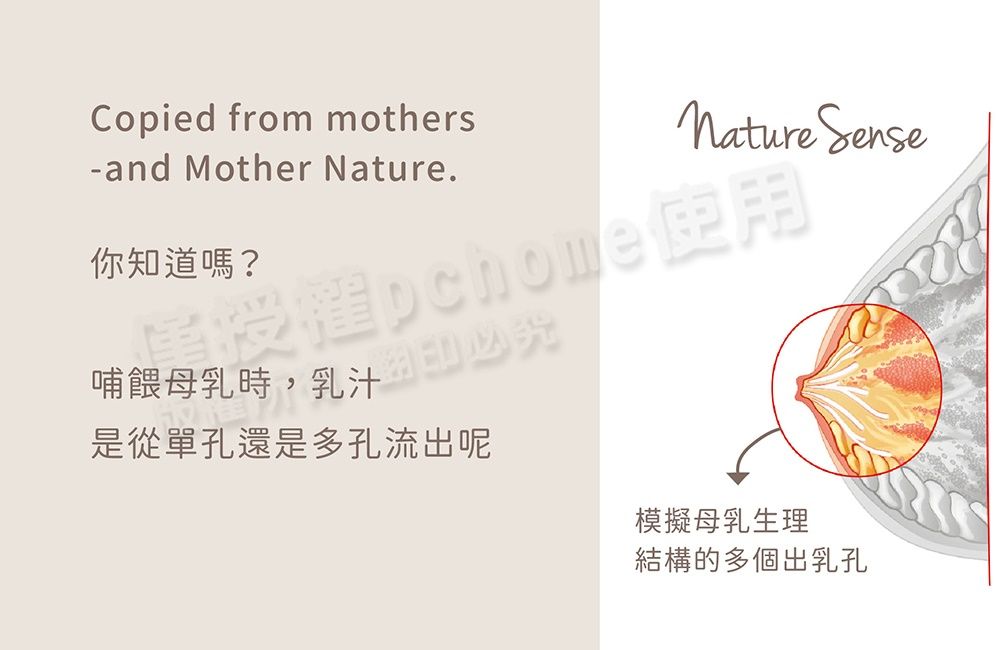 Copied from mothers-and Mother .你知道嗎?哺餵母乳時,乳汁是從單孔還是多孔流出呢Nature Sense模擬母乳生理結構的多個出乳孔