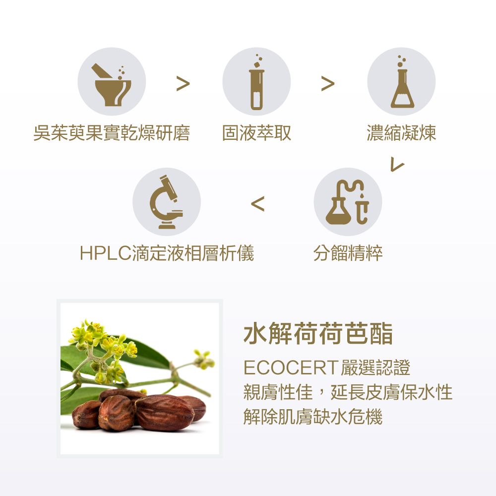 吳茱萸果實乾燥研磨 固液萃取濃縮凝煉HPLC滴定液相層析儀分餾精粹水解荷荷芭酯ECOCERT嚴選認證親膚性佳,延長皮膚保水性解除肌膚缺水危機