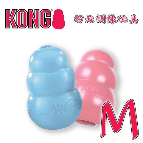 KONG 美國Puppy / 幼犬訓練玩具-藍色/粉色 M (KP2) (隨機出貨)