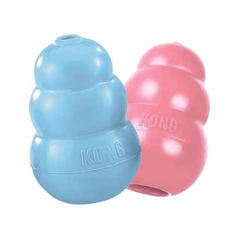 美國KONG•Puppy / 幼犬訓練玩具-藍色/粉色 M (KP2) (隨機出貨)