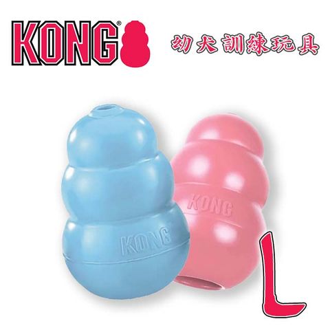 KONG 美國Puppy / 幼犬訓練玩具-藍色/粉色 L (KP1) (隨機出貨)