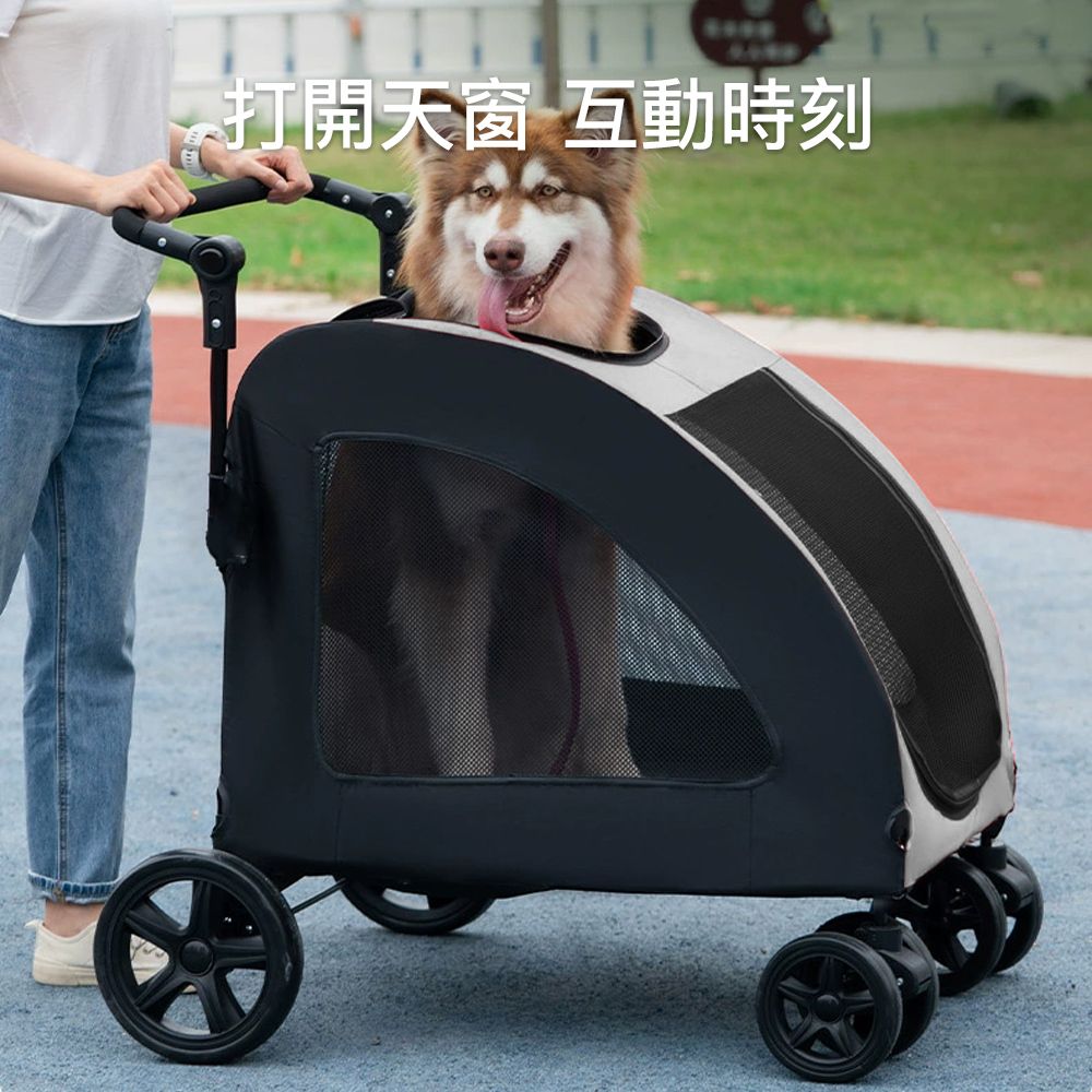 打開天窗 互動時刻