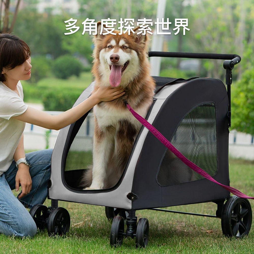 多角度探索世界
