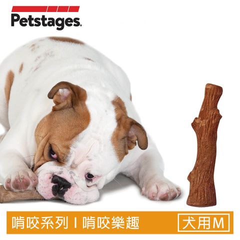 Petstages BBQ史迪克-M(烤肉木風味 潔牙 耐咬 寵物 狗玩具)