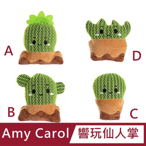 Amy Carol 響玩仙人掌