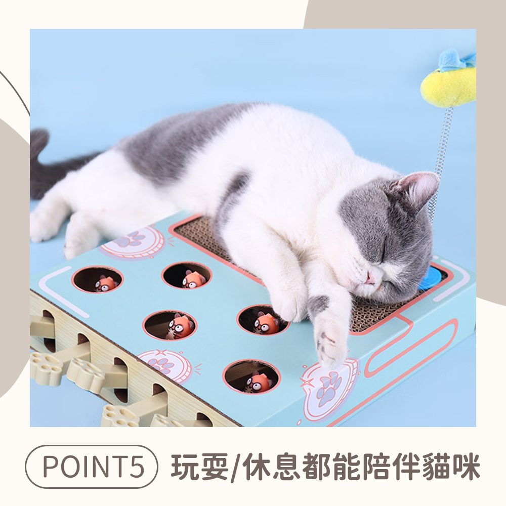 POINT5玩耍/休息都能陪伴貓咪