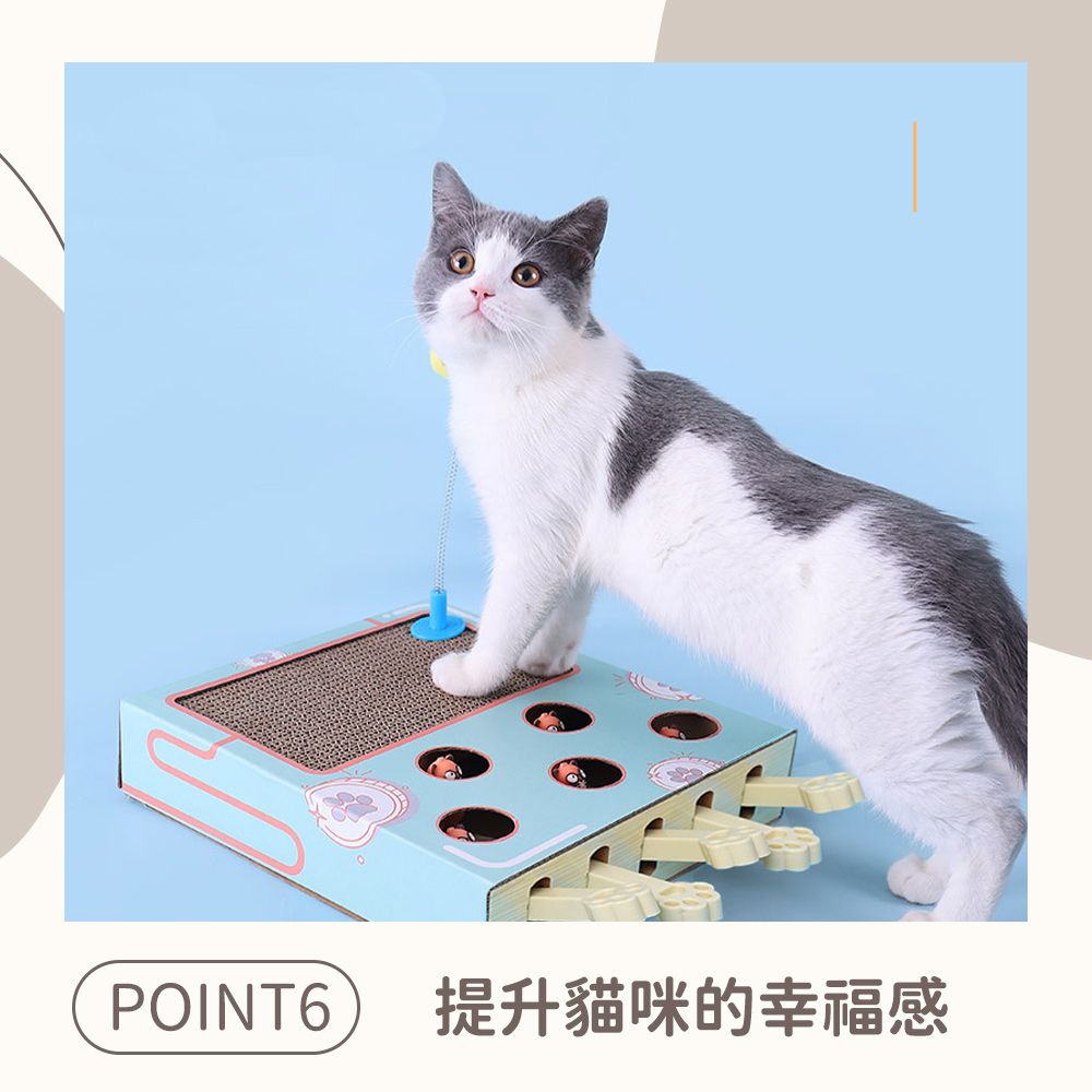 POINT6提升貓咪的幸福感