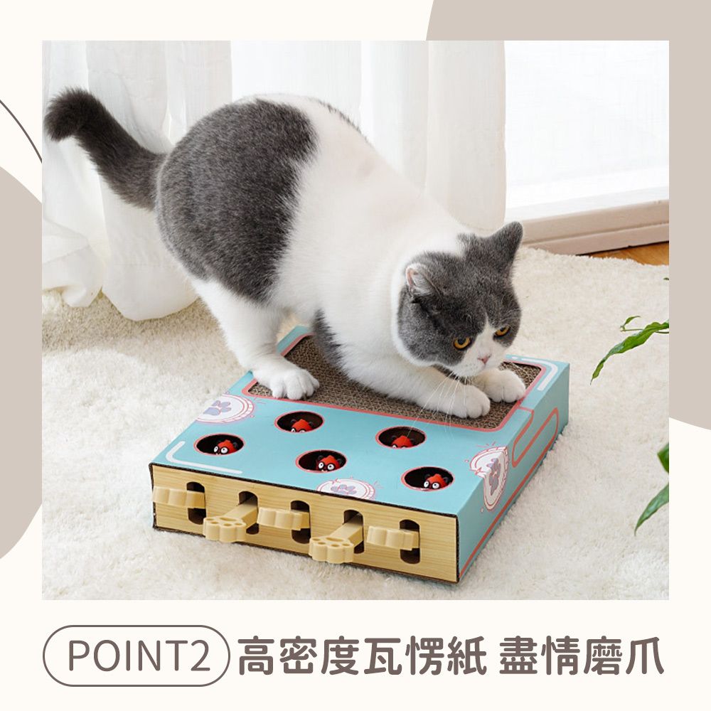  LUMAO 三合一貓咪遊戲盒/貓抓板/彈簧逗貓棒/打地鼠益智玩具