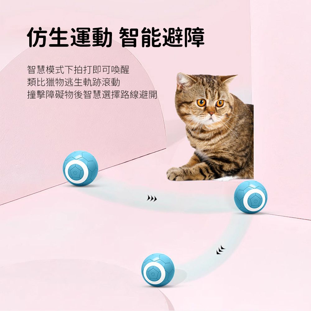  Petfun 寵物玩具智能電動玩具球 自動逗貓球 引力跳跳球 滾滾球(貓狗自嗨解悶/智能避障)