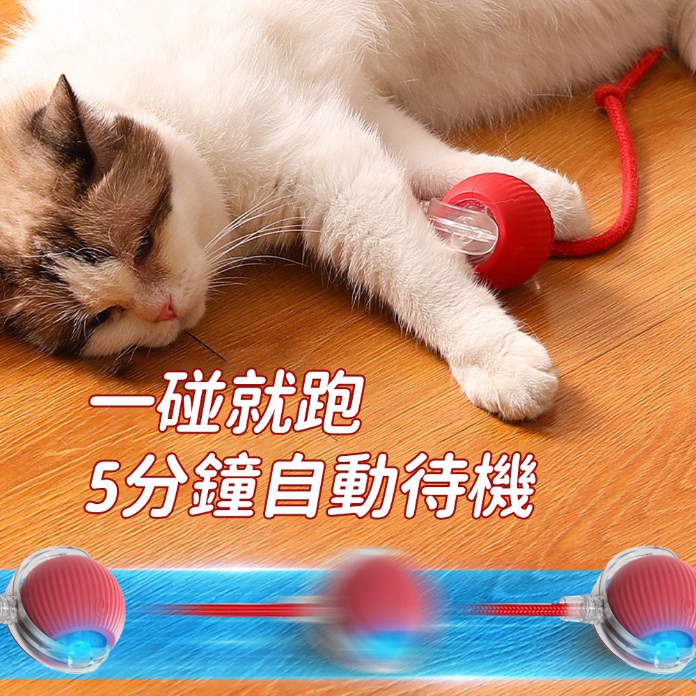  Petfun 寵物自動逗貓球 智能電動玩具球  引力跳跳球 滾滾球(貓狗自嗨解悶/矽膠耐咬)