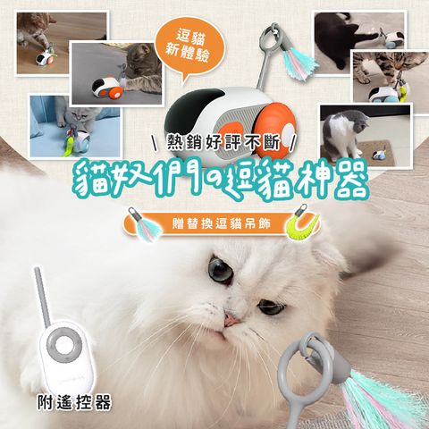 【木馬特實驗室】貓咪智能遙控賽車(藍/橘)
