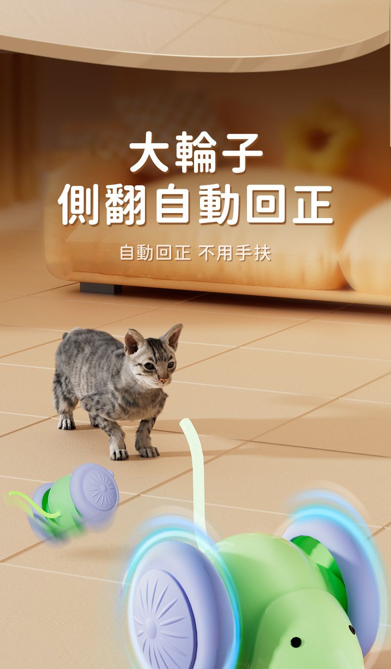 大輪子側翻自動回正自動回正 不用手扶