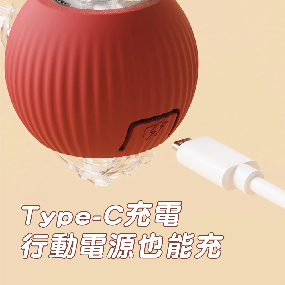 CITY STAR 寵物滾滾球玩具追逐神器-2入