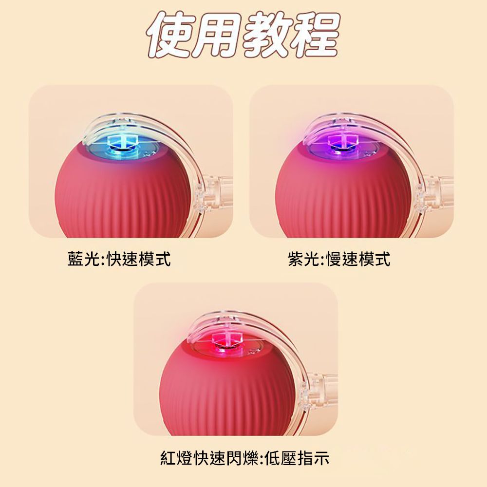 CITY STAR 寵物滾滾球玩具追逐神器-2入