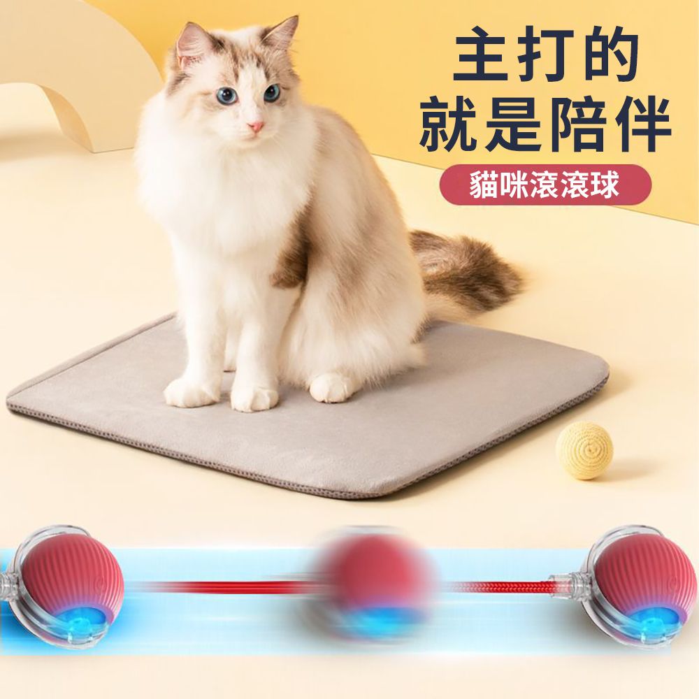 CITY STAR 寵物滾滾球玩具追逐神器-2入
