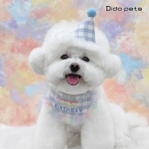 Dido Pets 寵物派對 生日項圈圍兜+帽子-格子款(PT150)