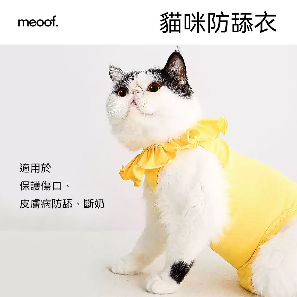 meoof 覓凹  貓咪防舔衣 絕育服 多色選擇