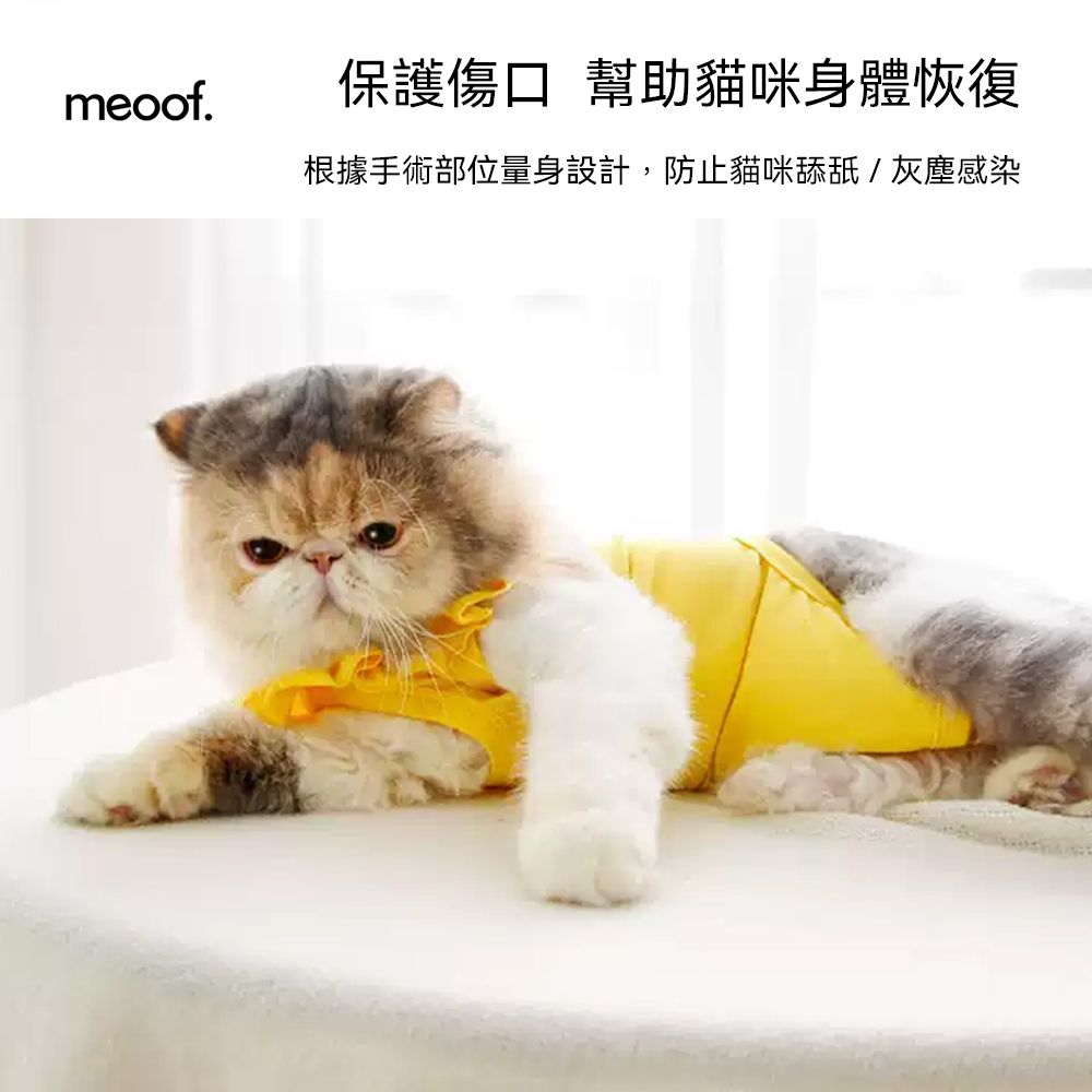 meoof 覓凹  貓咪防舔衣 絕育服 多色選擇