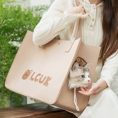 卡通小熊毛氈四季通用貓咪狗狗包寵物外出包