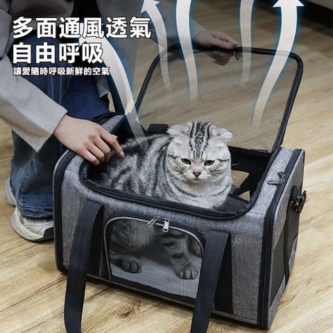 【OSLE 歐適樂】貓咪外出包便攜單肩寵物包泰迪比熊透氣車載狗窩貓包外出寵物背包