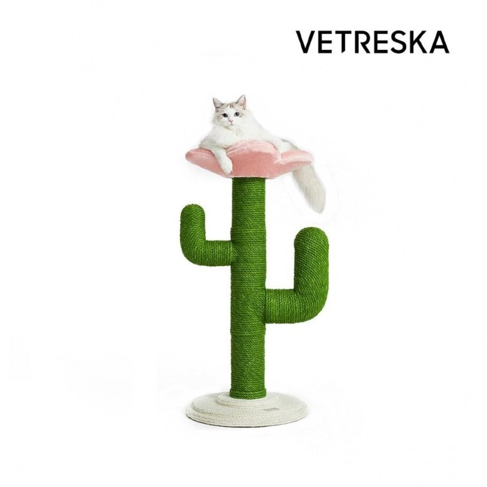 Vetreska 未卡 花朵仙人掌貓爬架 (不需澆水也自動長出花朵貓窩的仙人掌)