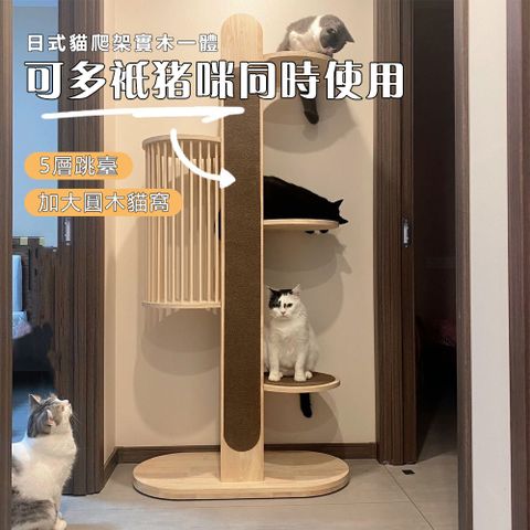 YIJIE 晨曦 日式貓爬架