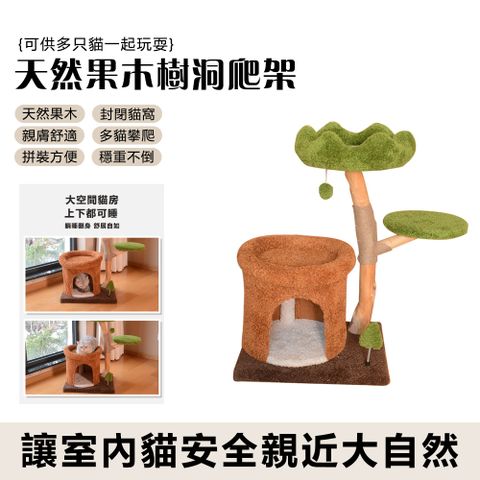 天然果木貓樹爬架