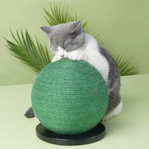 【WAWAWA】療癒系綠藻球造型貓咪紓壓互動貓抓台
