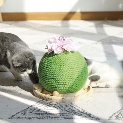 FD.Cattery ω 喵仙兒仙人球抓柱  25x24cm