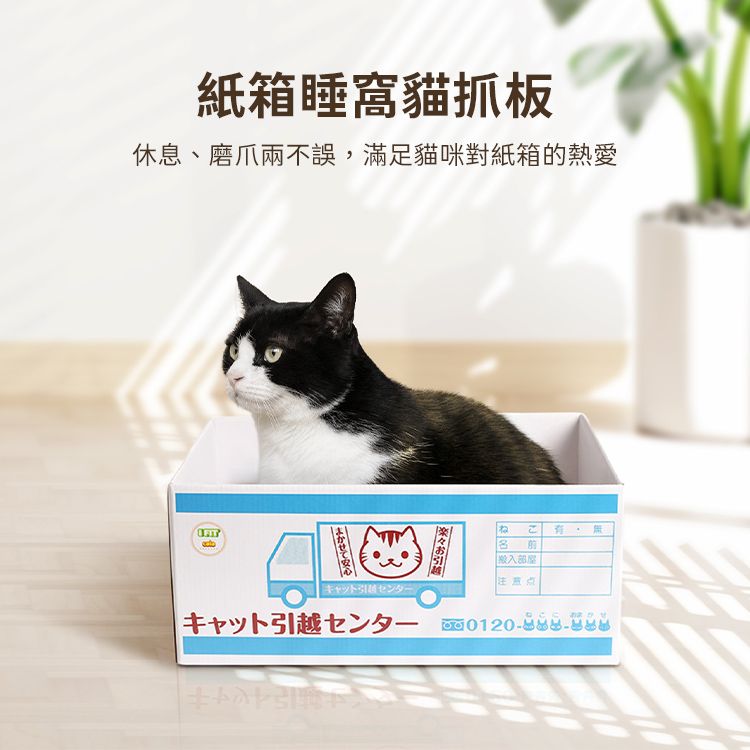 紙箱睡窩貓抓板休息、磨爪兩不誤,滿足貓咪對紙箱的熱愛ね こ 名前注意点キャットセンター卜引越