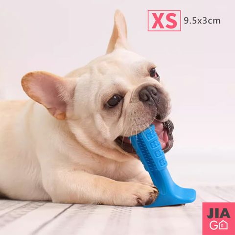 JIAGO 寵物潔牙玩具-小號(小型犬)