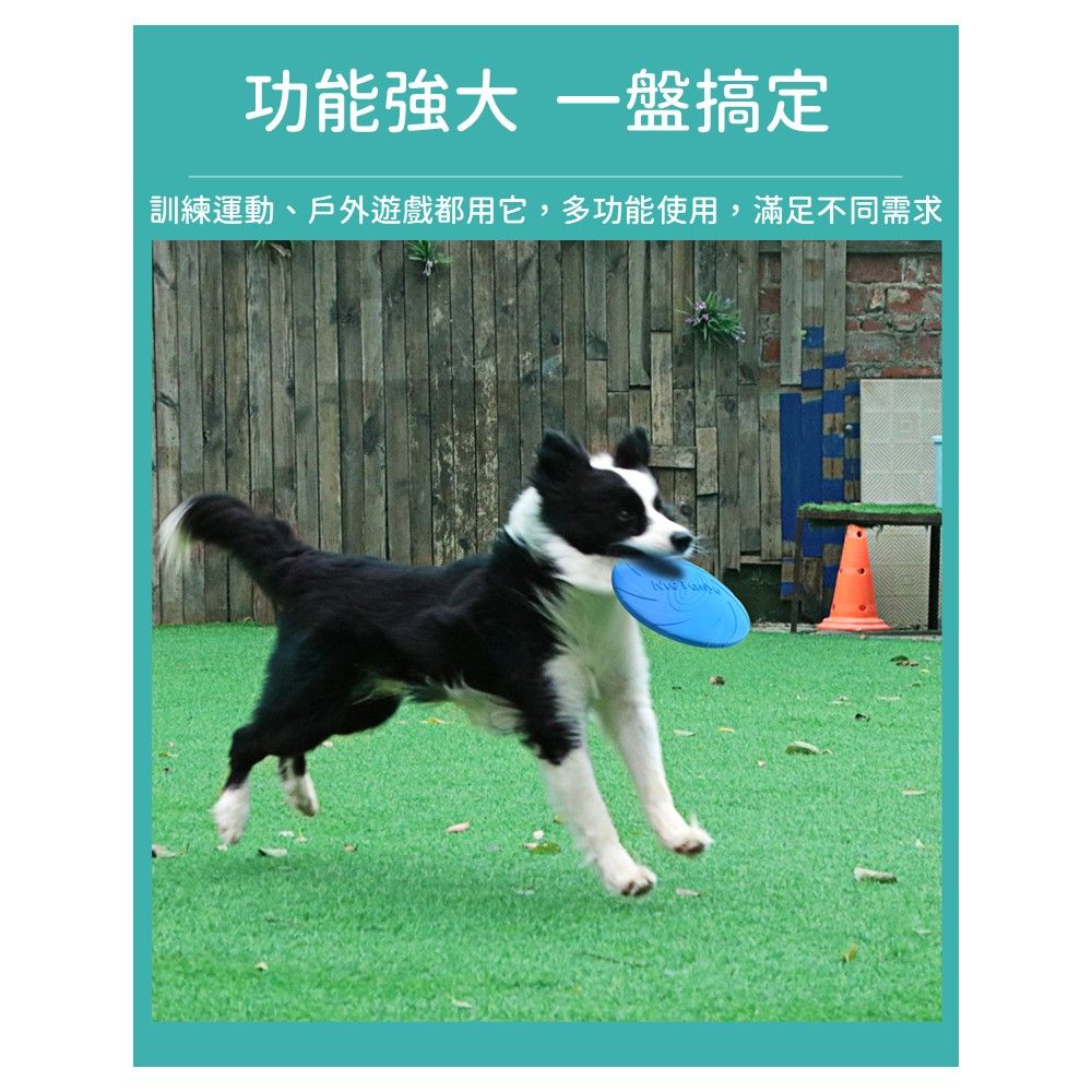  Meianju 狗狗飛盤 大號 22cm ( 狗狗飛盤 寵物玩具 戶外活動 狗狗運動 互動遊戲 愛寵必備 娛樂玩樂)