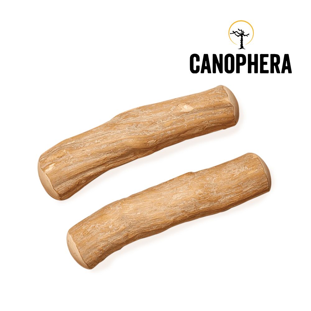  【德國CANOPHERA】咖啡木咬咬棒XL號-2支入(磨牙棒/啃咬玩具)