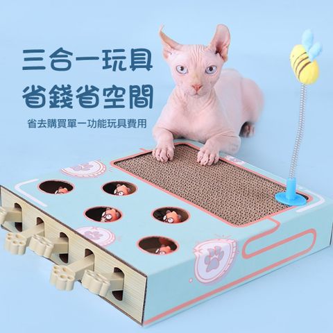 Mamy Pets 寵情 amy Pets 萌寵貓仙兒三合一遊戲 自嗨/打地鼠/貓抓板