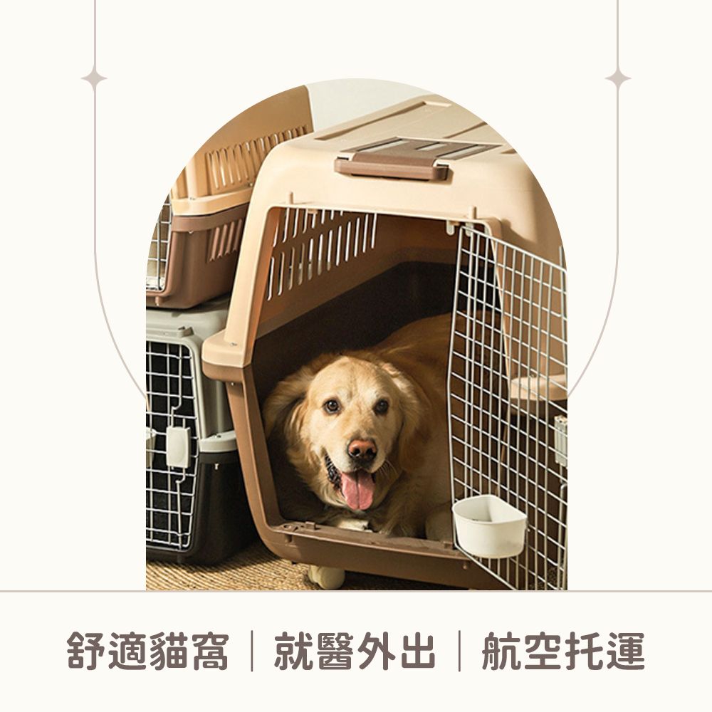 舒適貓窩就醫外出|航空托運