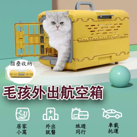 可摺疊寵物外出籠-大號