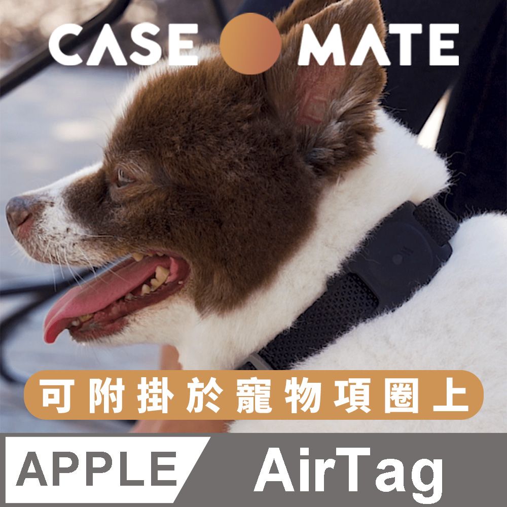 MATE 美國 Case AirTag 