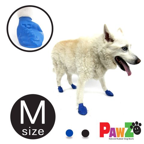 Pawz 【美國 】寵物外出鞋套12入(M size)