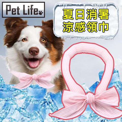 Pet Life 降溫神器純棉貓犬涼感領巾/消暑降溫圍脖 條紋粉5x100cm