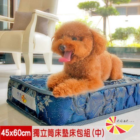 凱蕾絲帝-中小型寵物專用獨立筒彈簧床墊(60*45cm)-與人類相同的睡眠品質，適合中小型寵物專用(台灣製造)-送床包