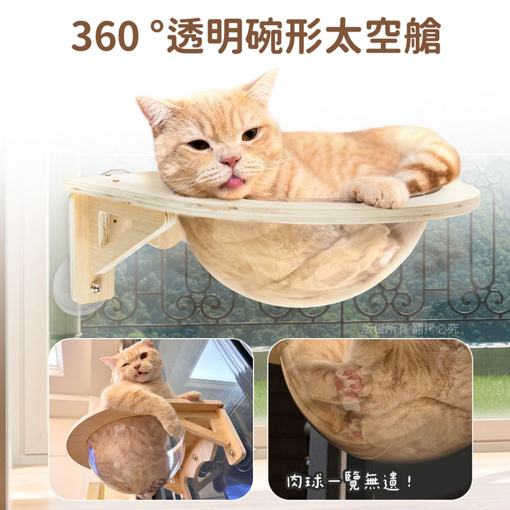 貓本屋 吸盤/釘牆兩用 實木太空艙貓跳台貓窩