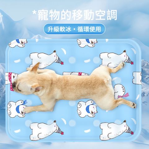 E.Co 寵物凝膠冰墊 30*50cm 寵物降溫涼墊 狗狗涼席 寵物睡墊（寵物床/睡墊/冰涼坐墊/貓窩）