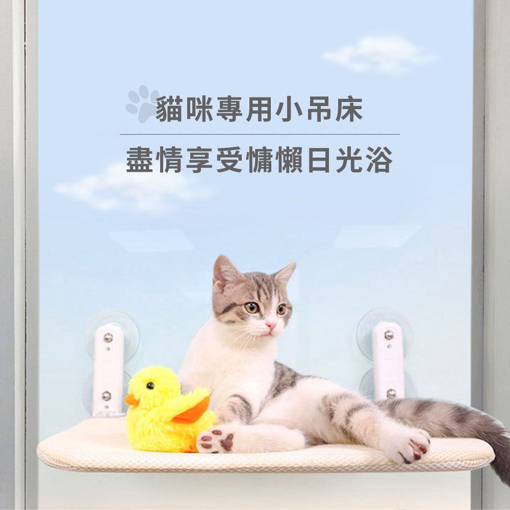 貓咪專用小吊床盡情享受慵懶日光浴