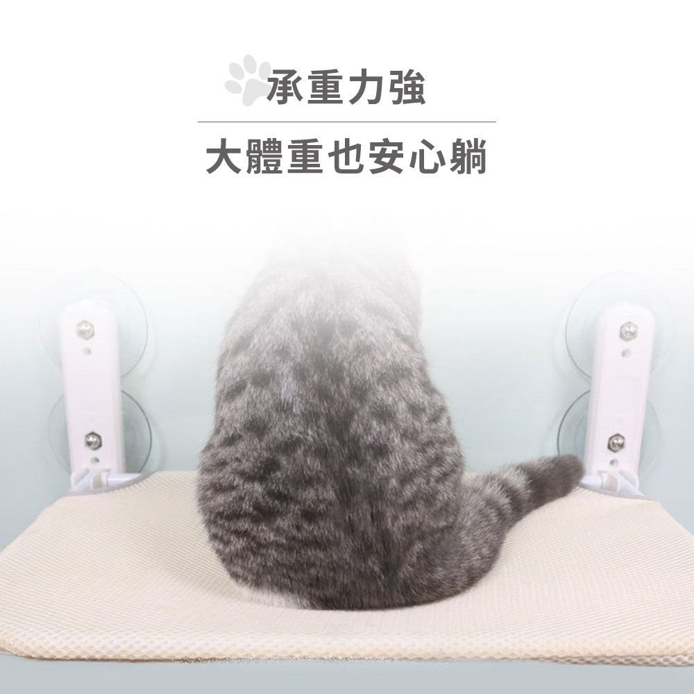 承重力強大體重也安心躺