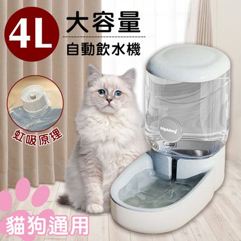 【神崎家居】貓狗通用4L大容量自動飲水機 喝水器 餵水器 虹吸原理有效補水