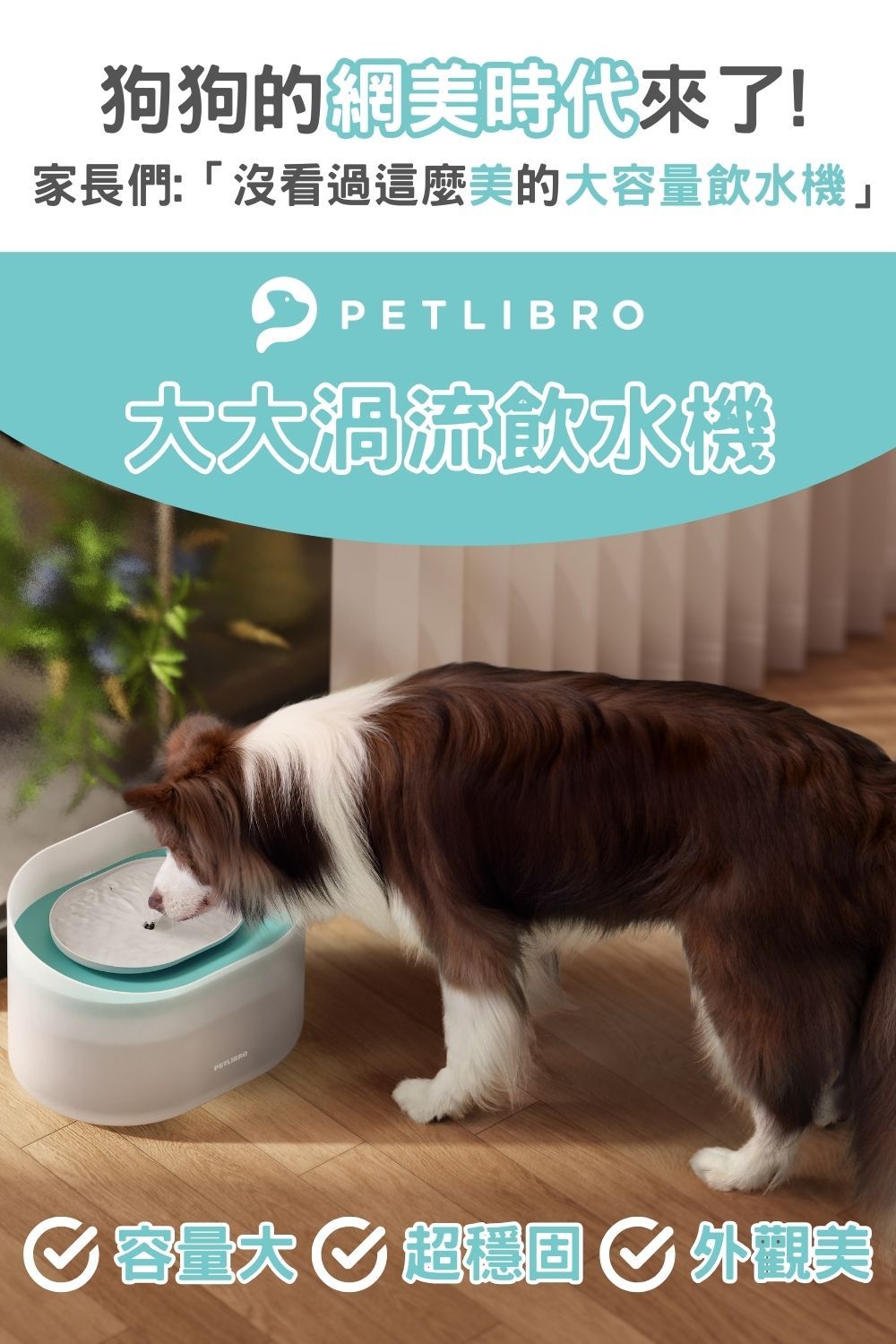 狗狗的網美時代來了!家長們:「沒看過這麼美的大容量飲水機」 大大渦流飲水機PETLIBRO 容量大 超外觀美