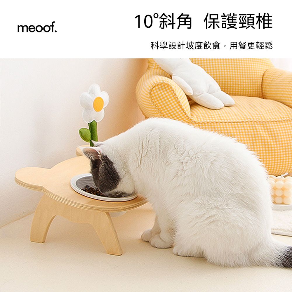 meoof 覓凹  木質陶瓷高腳寵物碗 單碗版本  台灣總代理